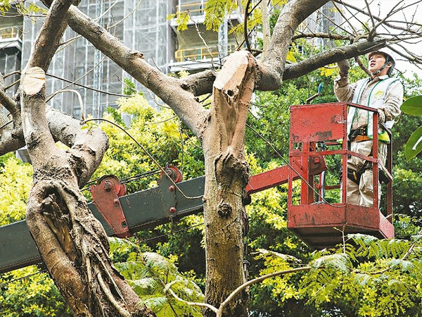 国家林草局印发《林长制督查考核办法》