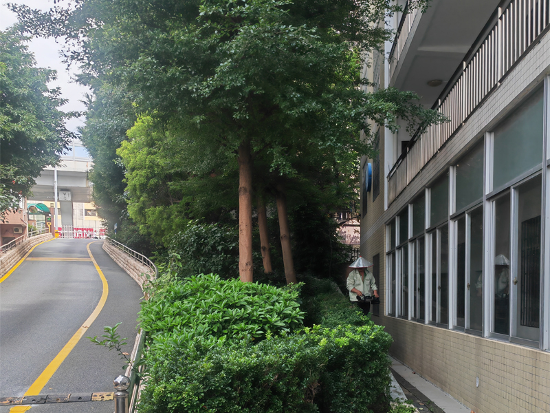 园林养护工程