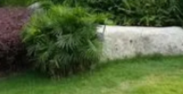 园林绿化设计实现绿与人和谐共处