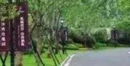 秋季的植物养护需要做的相关措施